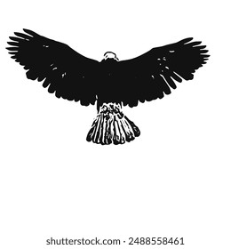 Bald eagle vector ilustration design for logo icon template 