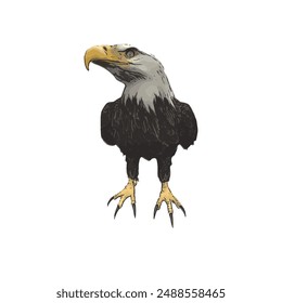 Bald eagle vector ilustration design for logo icon template 