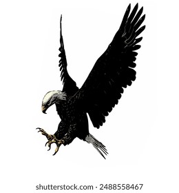 Bald eagle vector ilustration design for logo icon template 