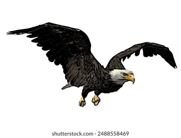 Bald eagle vector ilustration design for logo icon template 