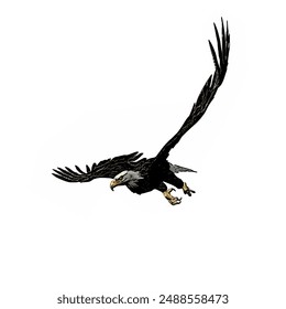 Bald eagle vector ilustration design for logo icon template 