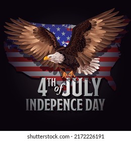 Bald eagle vector image.  Independence day. 4 of july.
