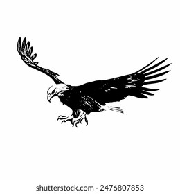 Bald eagle vector logo, icon, symbol design template 