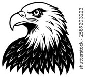 bald eagle vector on white background