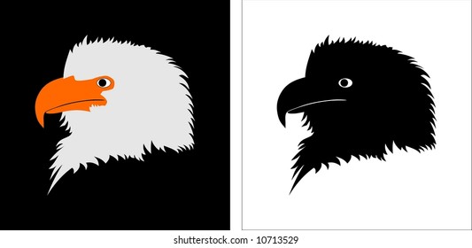 Bald Eagles