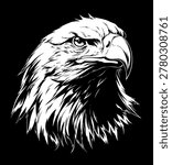 Bald eagle`s head on the black background vector illustration.
