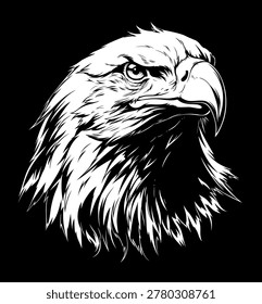Bald eagle`s head on the black background vector illustration.