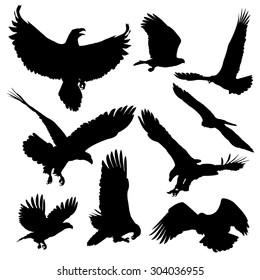 Bald Eagles Silhouettes Isolated On White Stock Vector (Royalty Free ...