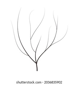 bald handdraw  tree  vector illustration element for game design. winter tree without crown. dead 