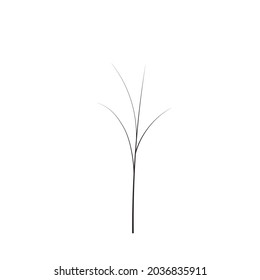 bald handdraw  tree  vector illustration element for game design. winter tree without crown. dead 