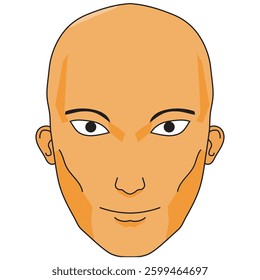 Bald Head of Male Human