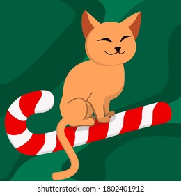Eine kahlköpfige Sphinx-Katze sitzt auf einem Weihnachtskerzenrohr. Weihnachtslied