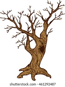 bald tree