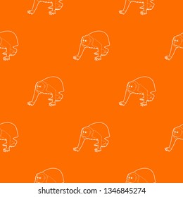 Bald wakari pattern vector orange for any web design best