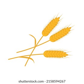 Bale of hay icon. Poster with ears of ripe wheat or rye. Harvesting of grain crops. Agriculture or farming. Design element for packaging. Cartoon flat vector illustration isolated on white background