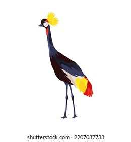 Balearicinae or black crowned crane, vector icon.