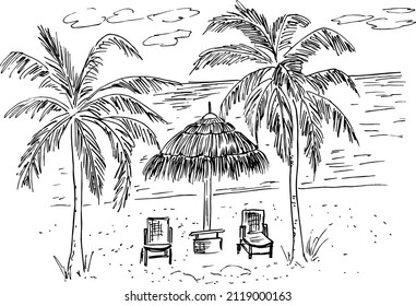   bali beach .sketch tropical landscape with palms and hut .vector illustration .
