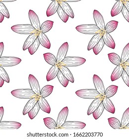 Bali beauty lily zephyr flower seamless pattern background.Repeating dessert hand drawing.Isolated vector illustration