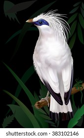 Bali Myna Leucopsar rothschildi rare endemic bird and faunal emblem of Bali. vector illustration