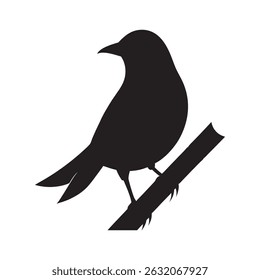Bali myna perched on bamboo branch silhouette vector illustration