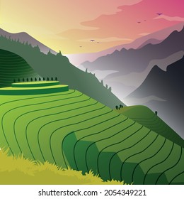 Bali rice anf tea terraces. Nature landscape illustration. Mountains hills. 