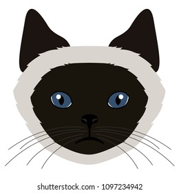 Balinese cat avatar. Cat breeds