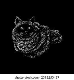 vector de dibujo de la mano del gato balinés aislado sobre fondo negro.