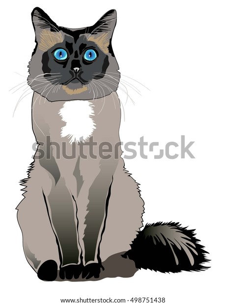 Balinese cat png file Balinese cat vector svg file Balinese cat eps file Balinese cat dxf file