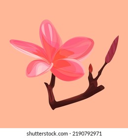 Patrón floral frangipani balinés con fondo color pastel rosado.