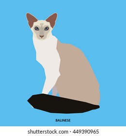 Balinese, Isolated cat breed, Vector illustration