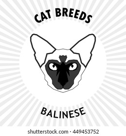 Balinese, Isolated cat breed, Vector illustration