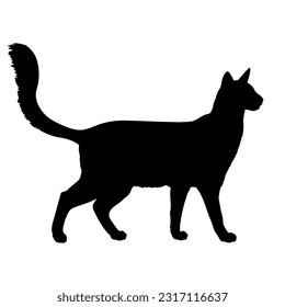 Balinese Javanese cat silhouette cat breeds vector pet