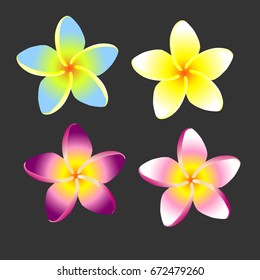 Bali's Flowers with four different colors