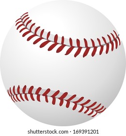 ball baseball vector