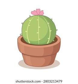 Ball cactus vector illustration, succulent and decoration plant 