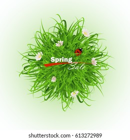 The ball is covered with grass , flowers and ladybug. Vector ball