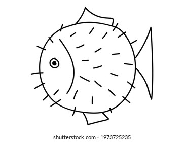 Ball fish, round fish with spines in doodle style, simple vector illustration, river and sea exotic dangerous animals with needles, lineart isolated on a white background, underwater world