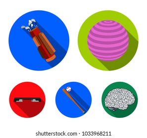 The ball for the game, coffer, a bag for golf clubs, a bat with baseball, a bench for fitness. Sport set collection icons in flat style vector symbol stock illustration web.