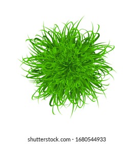 ball of grass. Vector illustration. Green grass in a bowl