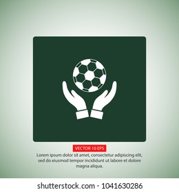 ball in hand icon
