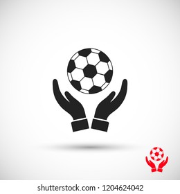 ball in hand icon