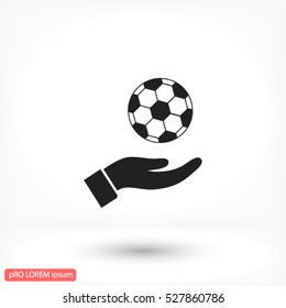 ball in hand icon