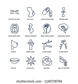 Ball of the knee, Basophil, Big Cellule, Lips, Blood Supply System, Closed eyes with lashes and brows, Brain upper view, Bosom, inside human head outline vector icons from 16 set