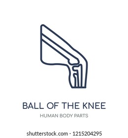 Ball of the knee icon. Ball of the knee linear symbol design from Human Body Parts collection.