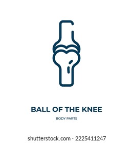 Ball of the knee icon. Linear vector illustration from body parts collection. Outline ball of the knee icon vector. Thin line symbol for use on web and mobile apps, logo, print media.