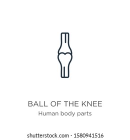 Ball of the knee icon. Thin linear ball of the knee outline icon isolated on white background from human body parts collection. Line vector sign, symbol for web and mobile