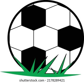 the ball on the grass field