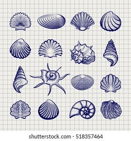 Ball pen sketch sea shells on notebook background vector