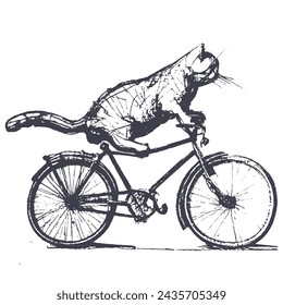 ball point pen sketch of cat. vintage engraving of cat. cat riding bicycle.