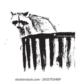 Ball point pen sketch of raccoon. raccoon vintage engraving. trash panda art.